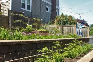 Sustainable urban garden with raised flower beds and greenery in a residential backyard