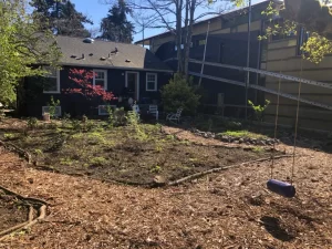 Sustainable backyard landscaping with mulch, young plants, and a swing in Seattle home garden