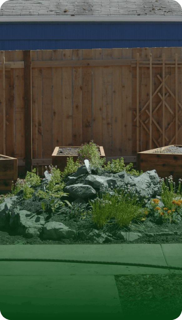Rutheo Designs image for Native Plant Landscaping in Seattle: How to Build a Beautiful Yard That Supports Pollinators and Needs Less Water