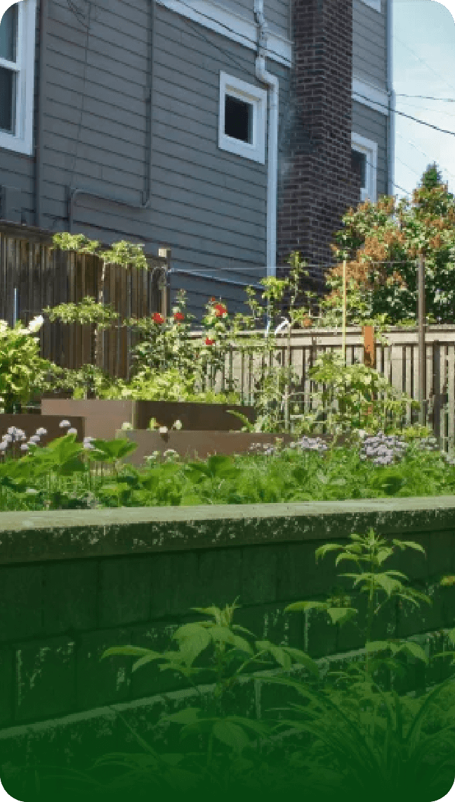 Queen Anne Tea House Garden & Sculptural Raised Beds