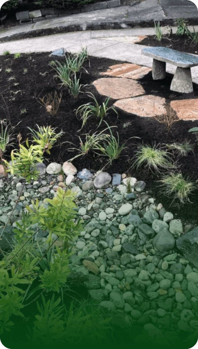 Zen Inspired Native Garden