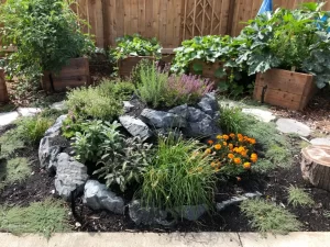 Seattle backyard herb spiral with native perennials and raised veggie beds by Rutheo Designs