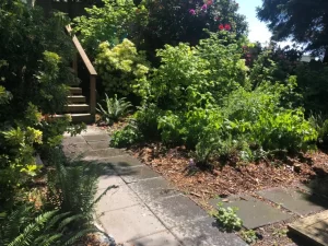 Rutheo Designs image for Shade Garden Design for Seattle Yards: What Thrives Under Trees and What Usually Fails