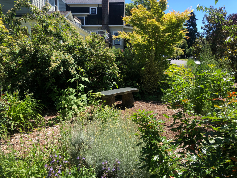 Sustainable garden with stone bench surrounded by lush greenery and flowering plants in a residential area