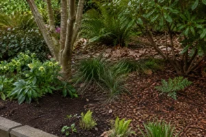 Established garden bed with compost, wood mulch, and retained leaves